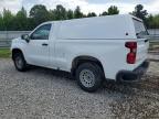 2023 Chevrolet Silverado C1500 zu verkaufen in Memphis, TN - Normal Wear