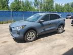 2024 FORD ESCAPE ACTIVE   à vendre chez Copart NB - MONCTON