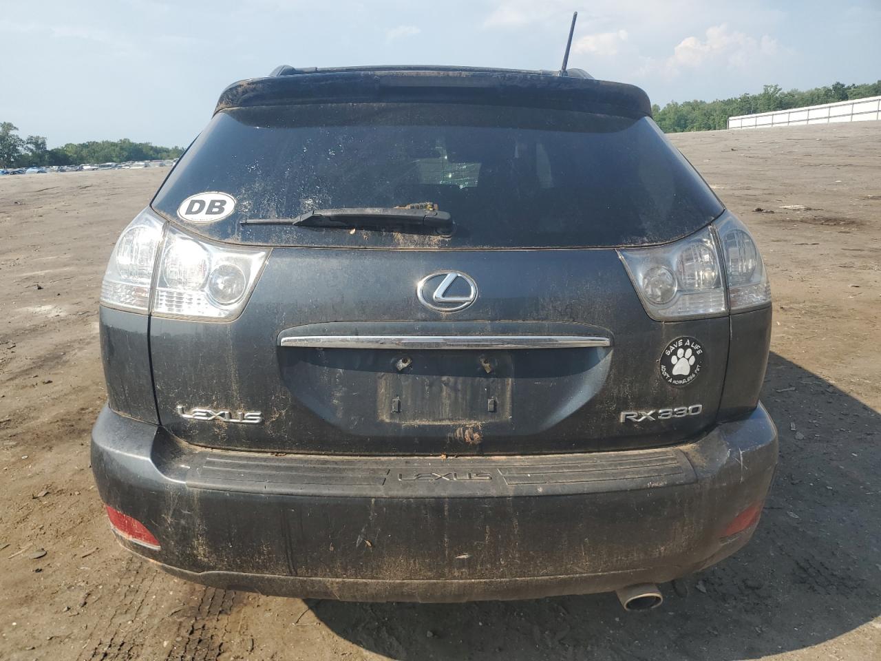 LEXUS RX330 2006 VIN 2T2HA31U66C090882 фото 6