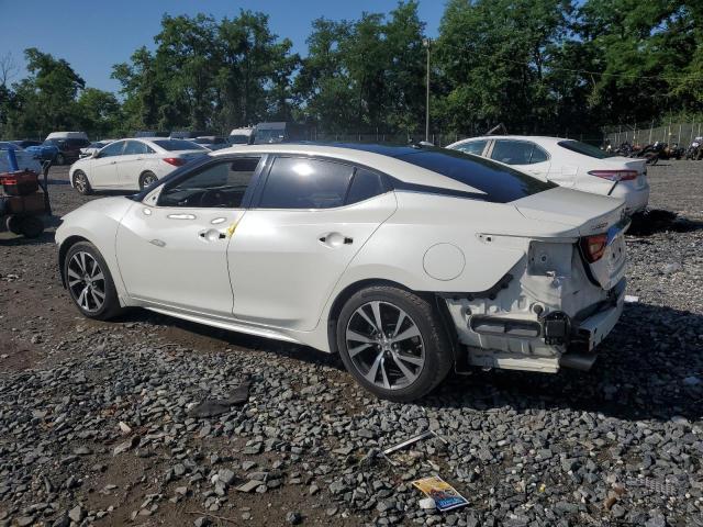  NISSAN MAXIMA 2017 Белый