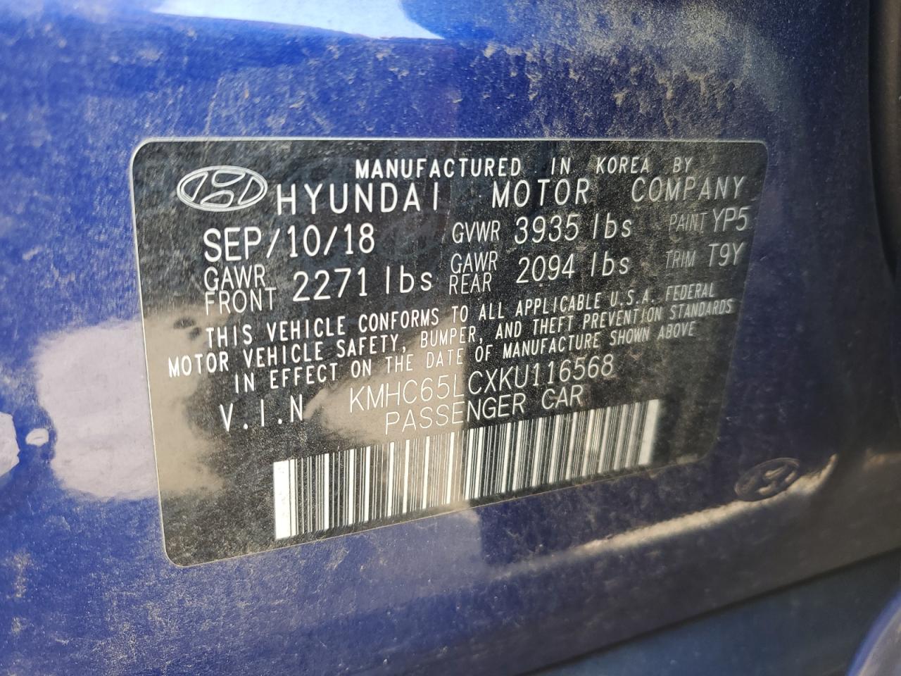 2019 Hyundai Ioniq Blue VIN: KMHC65LCXKU116568 Lot: 62124295