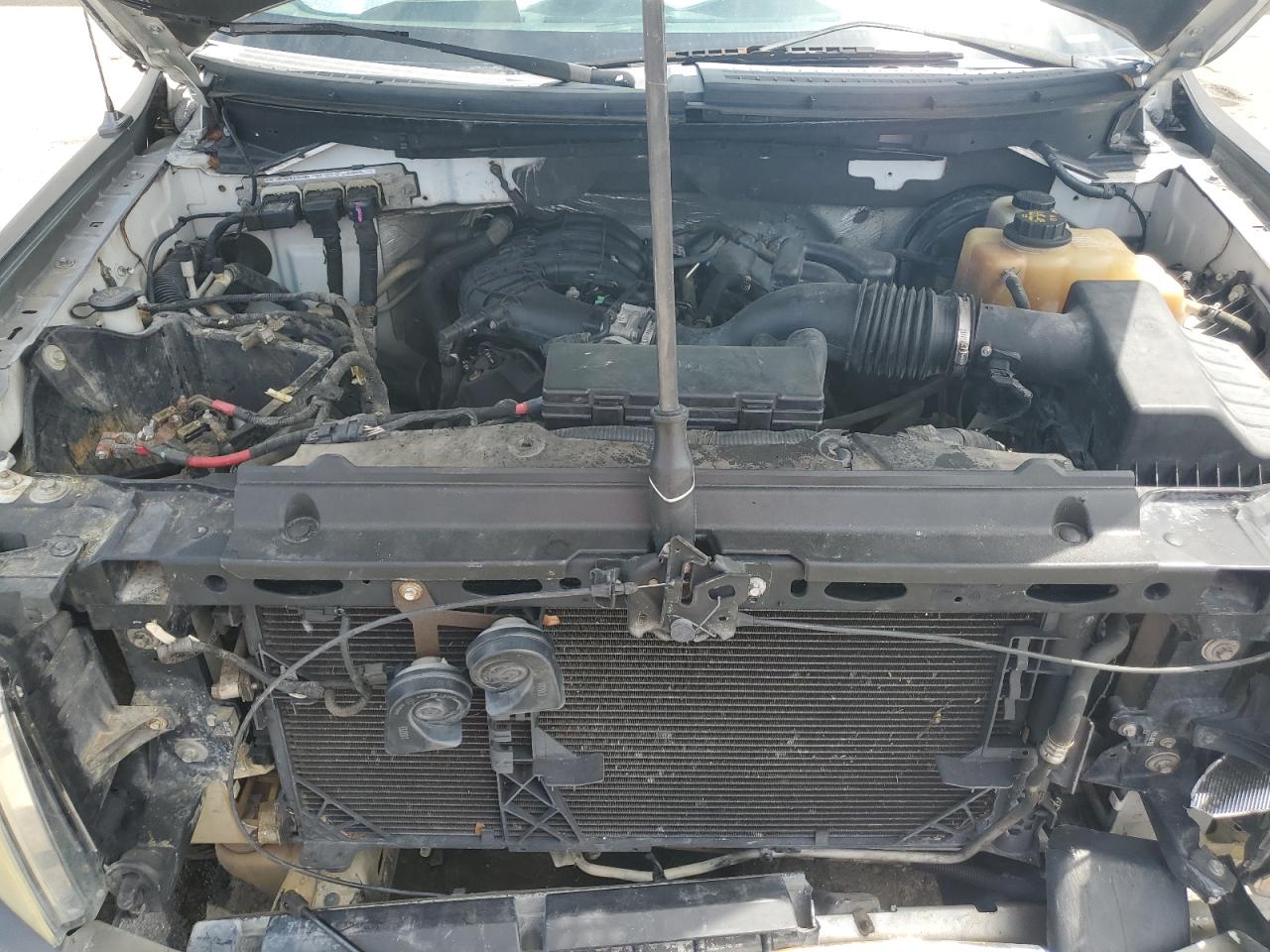 2011 Ford F150 VIN: 1FTMF1CM7BKD66128 Lot: 62632915