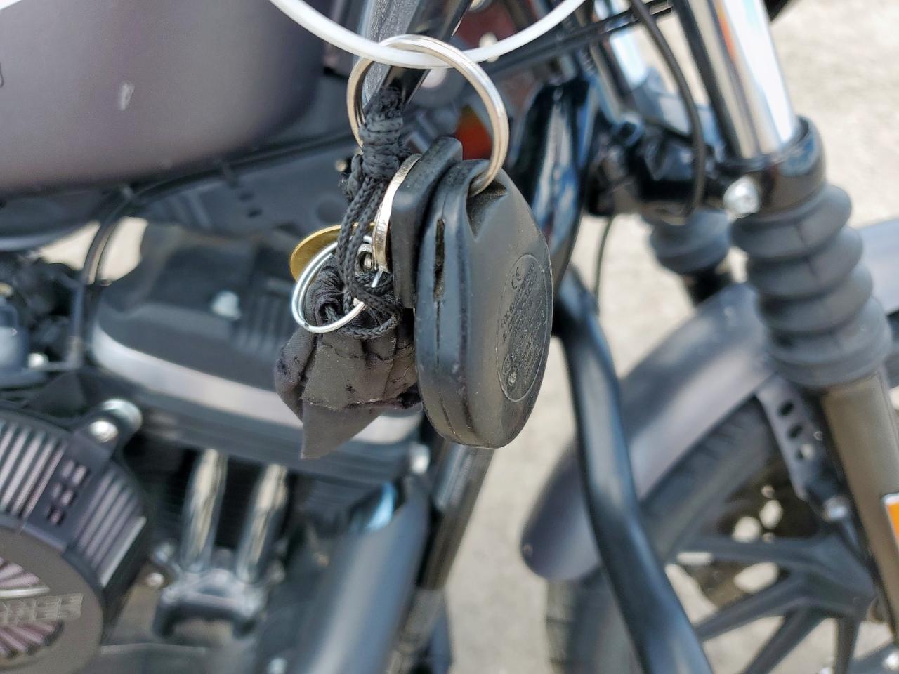 2016 Harley-Davidson Xl883 Iron 883 VIN: 1HD4LE216GC416511 Lot: 61668075