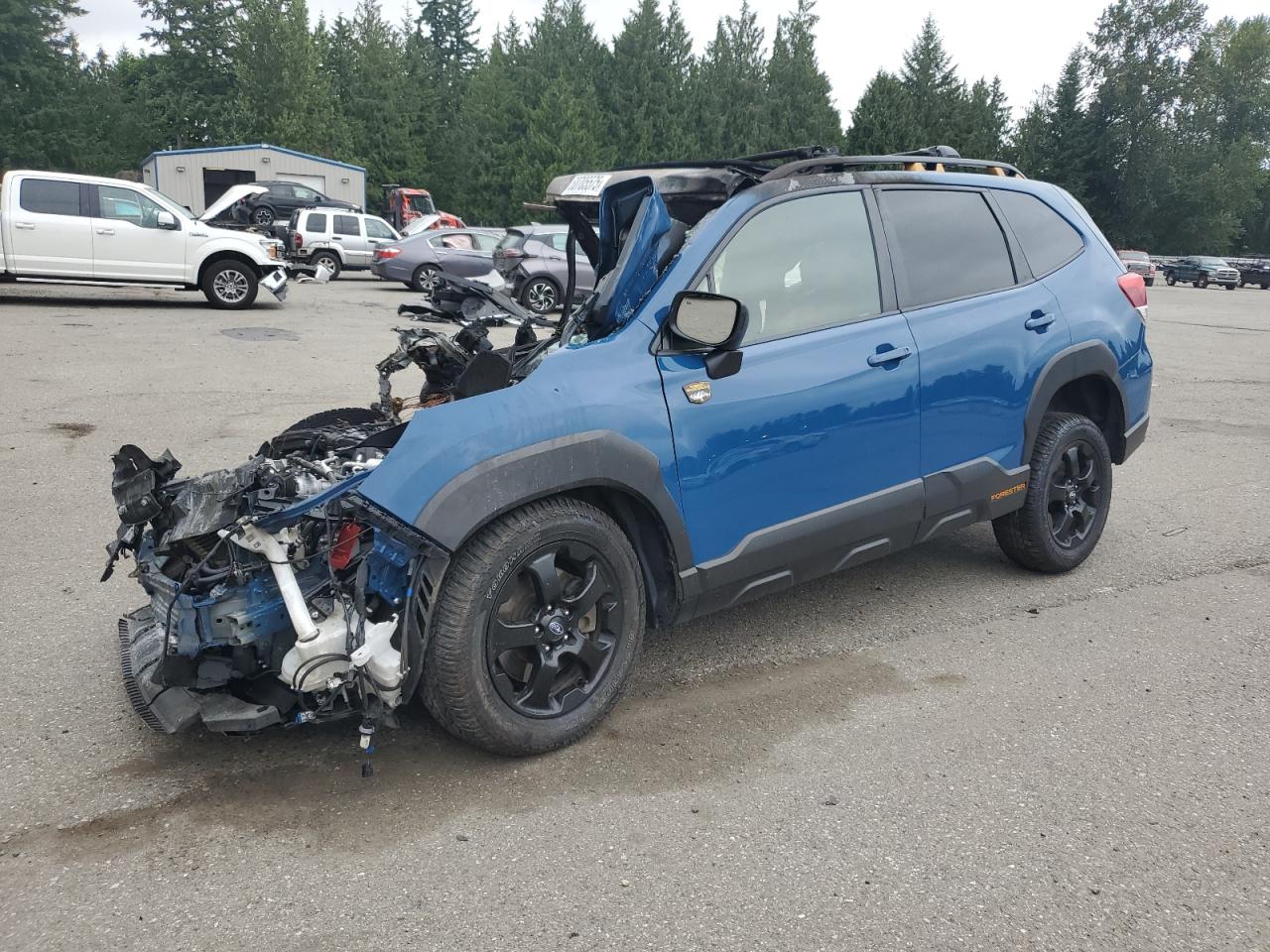 2023 Subaru Forester Wilderness for Sale in Arlington, WA - Burn