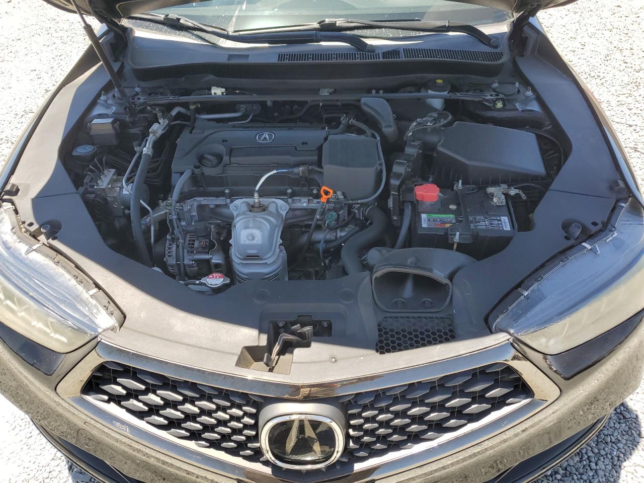 2019 Acura Tlx Technology VIN: 19UUB1F66KA001455 Lot: 62712005