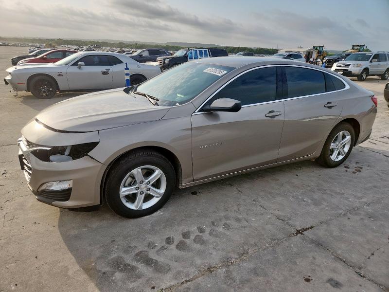 CHEVROLET MALIBU LS 2024
