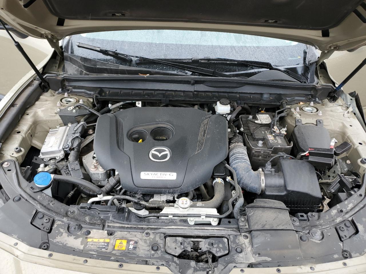 2023 Mazda Cx-50 Premium Plus VIN: 7MMVABEY6PN113039 Lot: 61629645