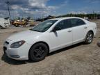 2012 Chevrolet Malibu Ls   for Sale in Indianapolis, IN - Front End