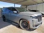 2023 Cadillac Escalade Sport за продажба в Anthony, TX - Vandalism
