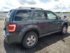 2008 Ford Escape Xlt for Sale in Waldorf, MD - Rear End
