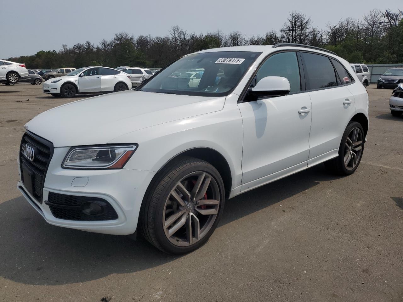 2016 Audi Sq5 Premium Plus