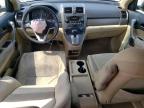 2007 Honda Cr-V Ex for Sale in Jacksonville, FL - Front End