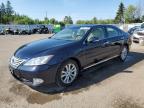 2010 LEXUS ES 350   for sale at Copart ON - TORONTO