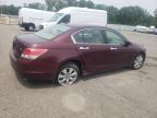 2008 Honda Accord Exl for Sale in Glassboro, NJ - Side