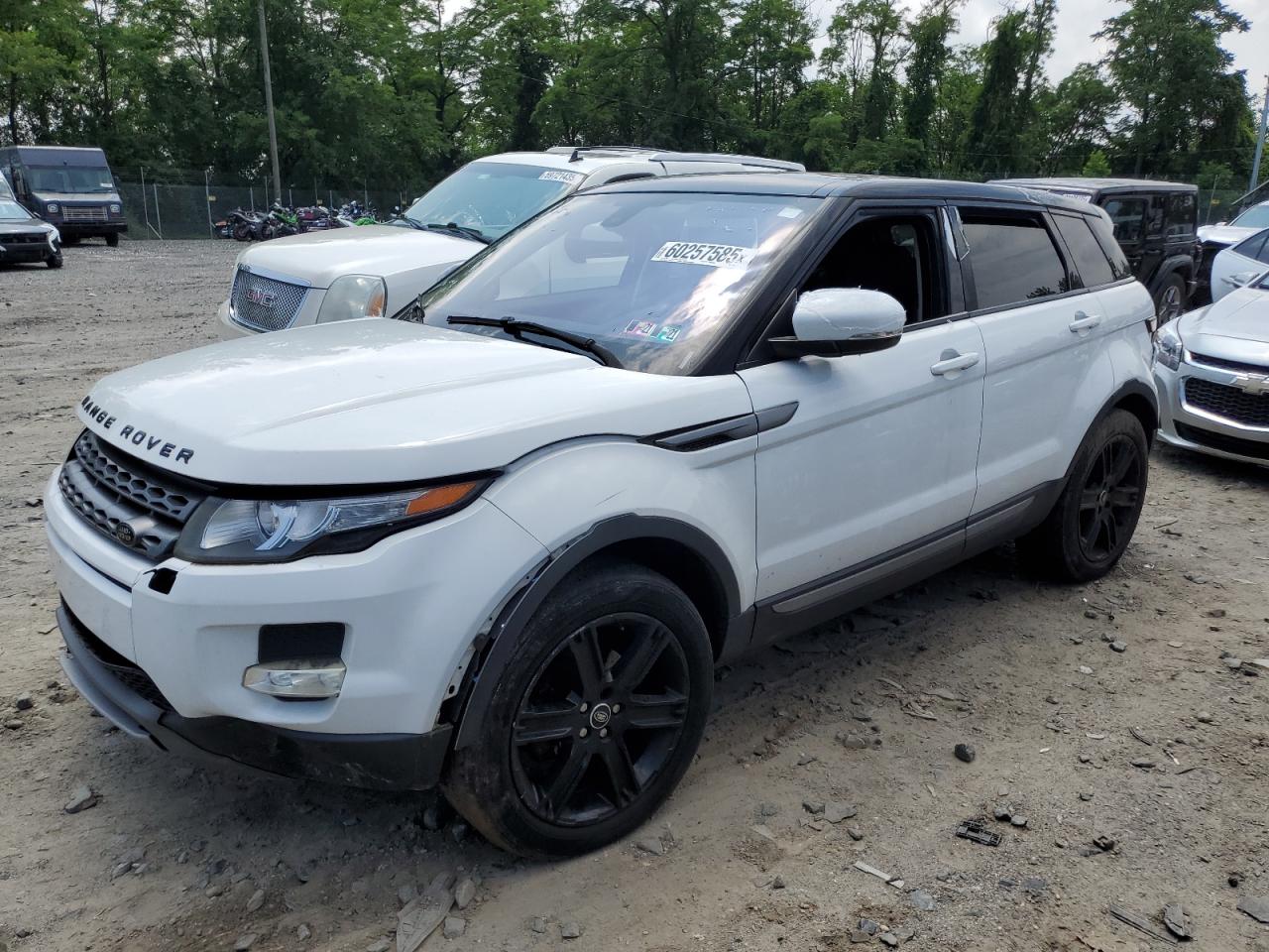 2013 Land Rover Range Rover Evoque Pure Plus للبيع في Baltimore، MD - Front End