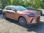 2024 LEXUS RX 350H BASE   à vendre chez Copart ON - COOKSTOWN