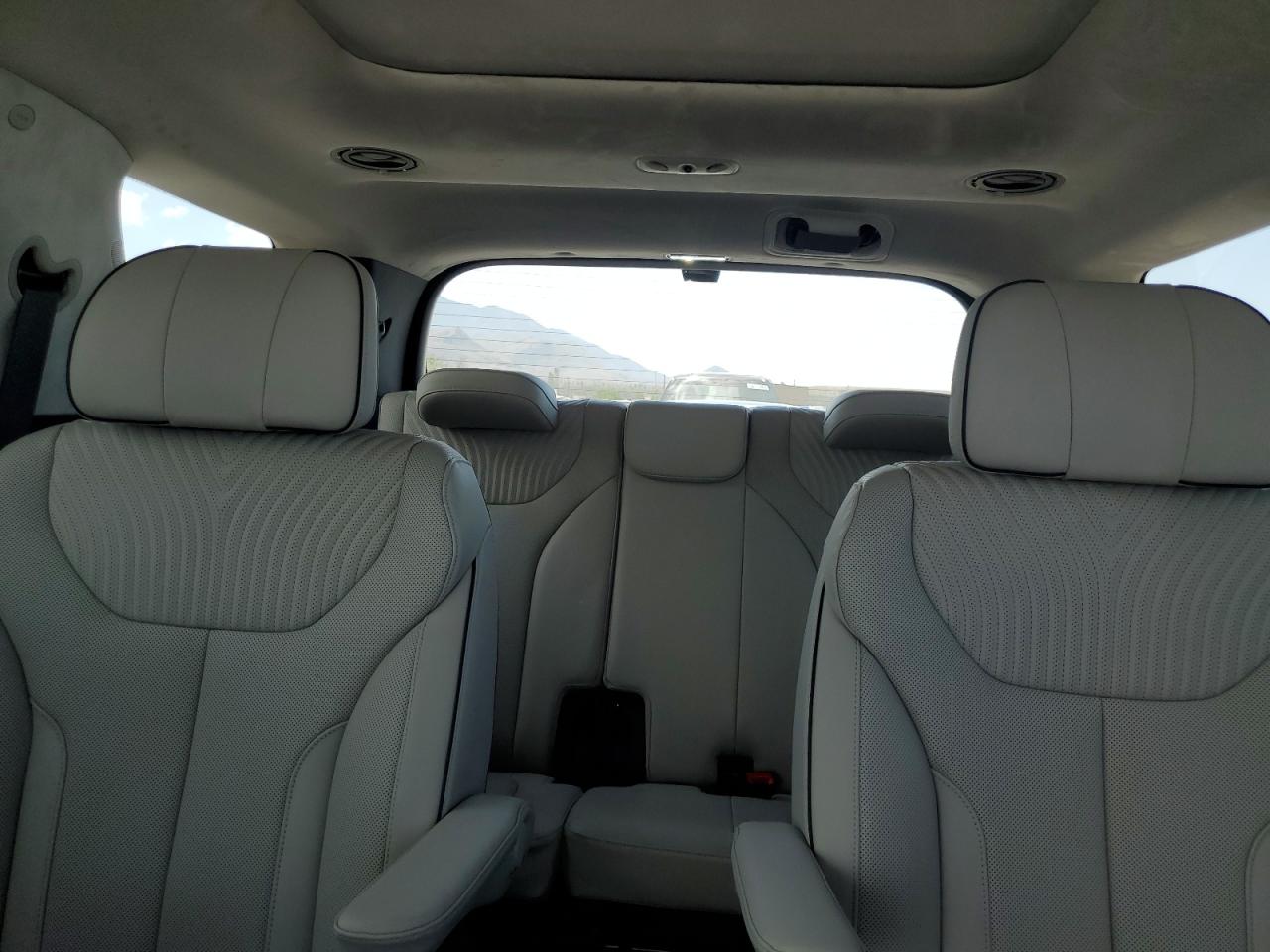 2025 Hyundai Palisade Calligraphy VIN: KM8R7DGE0SU866655 Lot: 60667275