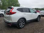 2019 HONDA CR-V EXL   à vendre chez Copart ON - COOKSTOWN