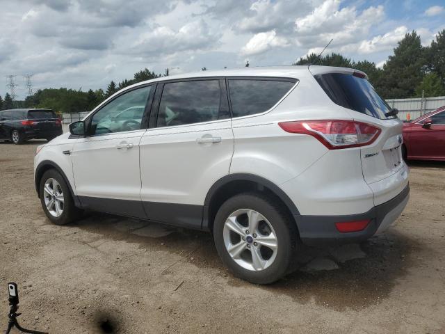  FORD ESCAPE 2014 Білий