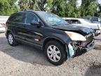 2009 Honda Cr-V Exl zu verkaufen in Riverview, FL - Front End