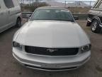 2005 Ford Mustang  for Sale in North Las Vegas, NV - Rear End