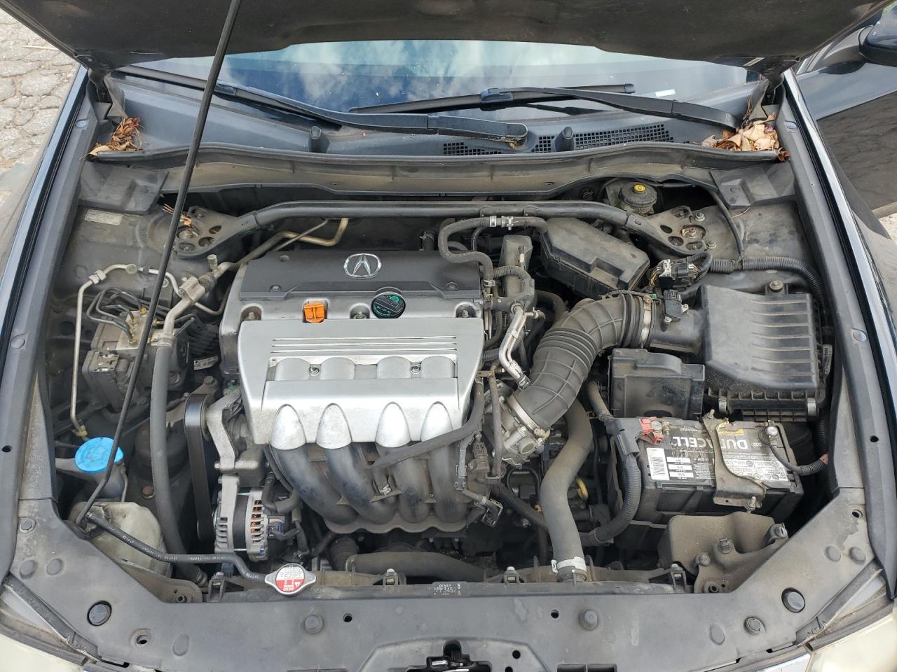 2010 Acura Tsx VIN: JH4CU2F67AC004425 Lot: 58750445