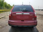 2010 Honda Cr-V Exl for Sale in Woodhaven, MI - Minor Dent/Scratches