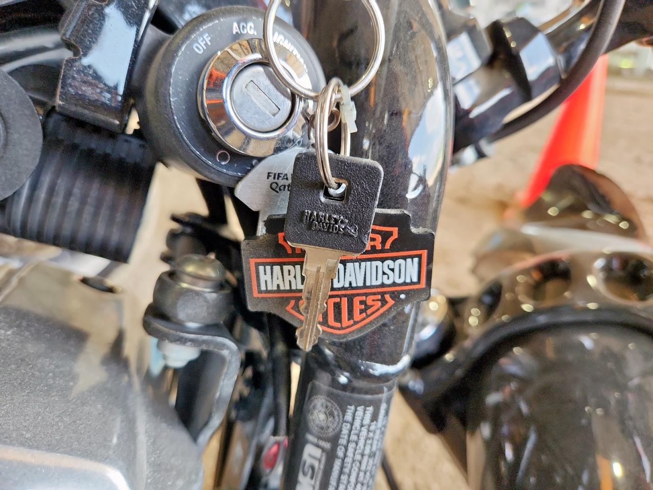 2022 Harley-Davidson Xl1200 X VIN: 1HD1LC311NB413931 Lot: 60807325