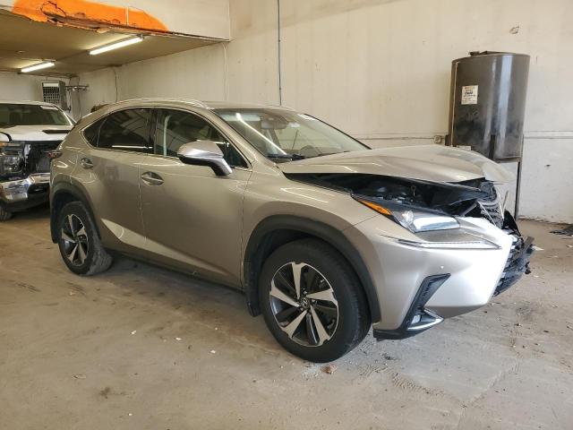  LEXUS NX 2018 Цвет загара