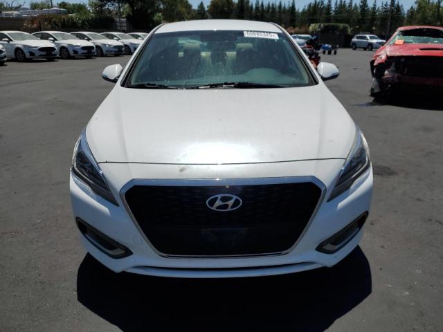  HYUNDAI SONATA 2017 White