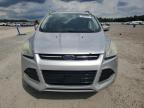 2014 Ford Escape Titanium للبيع في Lumberton، NC - Minor Dent/Scratches