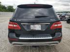 2012 Mercedes-Benz Ml 350 4Matic للبيع في Prairie Grove، AR - Hail