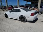 2000 Ford Mustang Gt იყიდება West Palm Beach-ში, FL - Minor Dent/Scratches