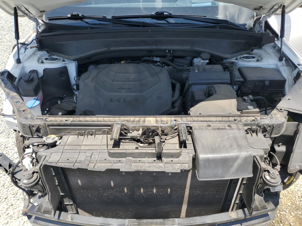 2022 Kia Telluride Sx VIN: 5XYP5DHC9NG243524 Lot: 61284615