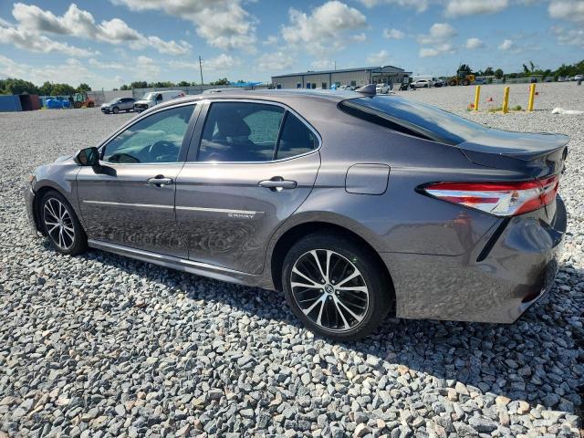  TOYOTA CAMRY 2020 Gray