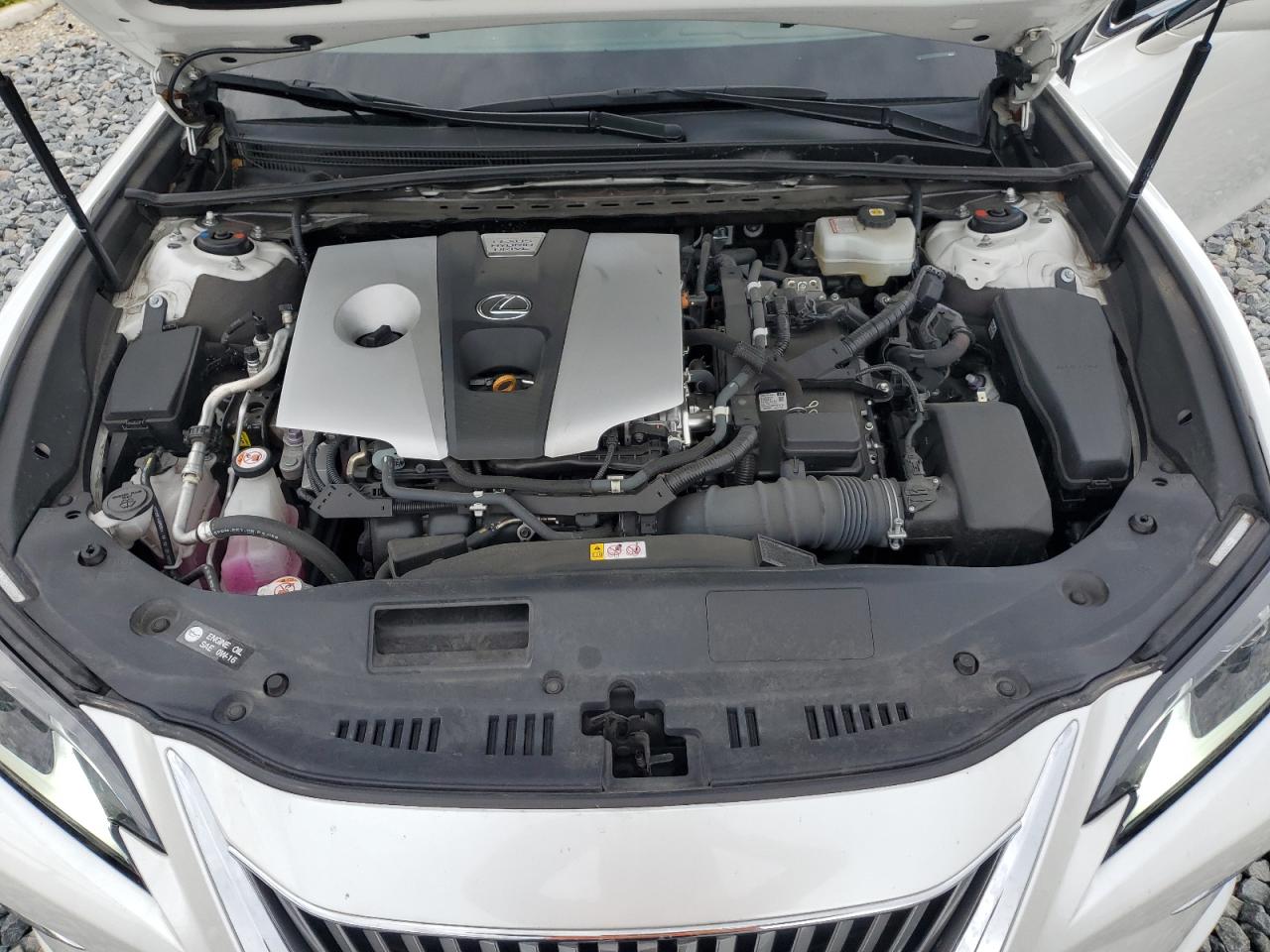 2021 Lexus Es 300H VIN: 58ADA1C16MU011922 Lot: 62385085