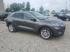 2020 Ford Escape Se for Sale in Wayland, MI - Front End