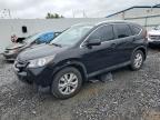 2013 Honda Cr-V Exl zu verkaufen in Albany, NY - Front End