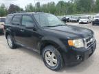 2010 Ford Escape Xlt   de vânzare în Leroy, NY - Normal Wear