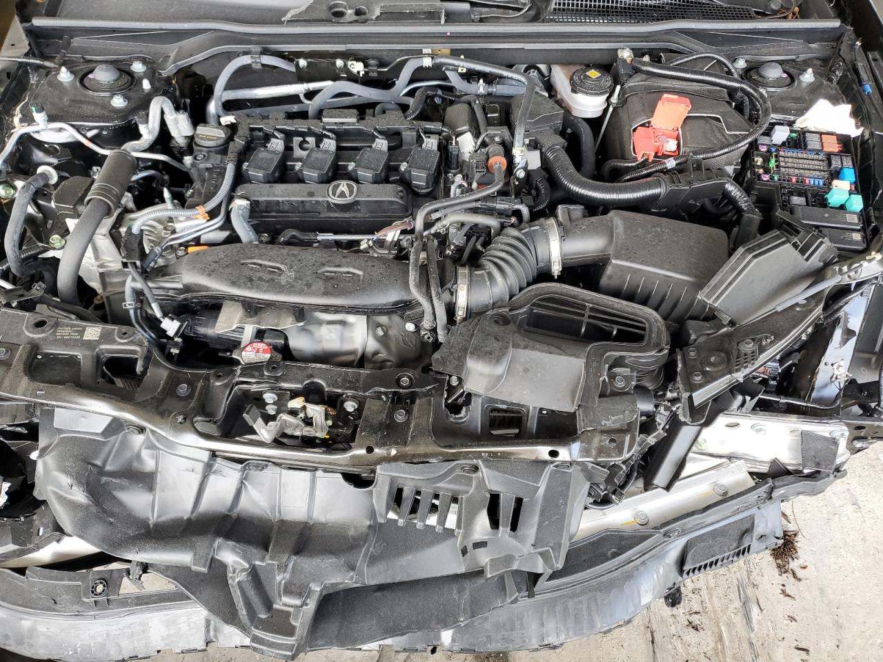 Фото: 19UDE4H28SA008653