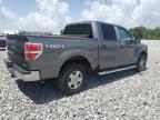2010 Ford F150 Supercrew იყიდება Apopka-ში, FL - Minor Dent/Scratches