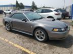 2004 Ford Mustang Gt for Sale in Woodhaven, MI - Rear End
