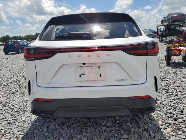  LEXUS NX 250 2022 Biały