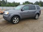 2014 Honda Pilot Exln للبيع في Elgin، IL - Rear End