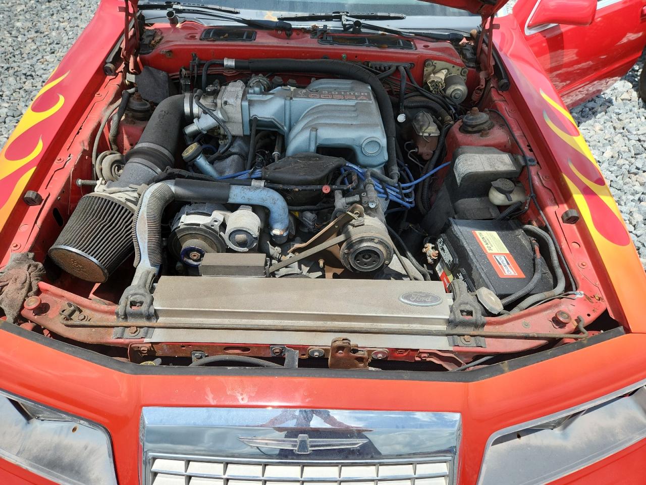 1983 Ford Thunderbird VIN: 1FABP46W4DA154594 Lot: 61242355