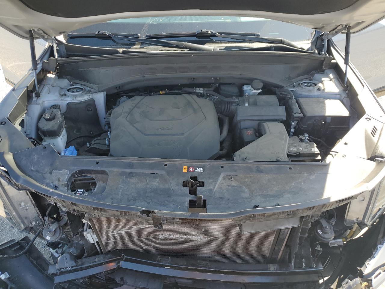 2022 Kia Telluride Sx VIN: 5XYP5DHC7NG274917 Lot: 61867405