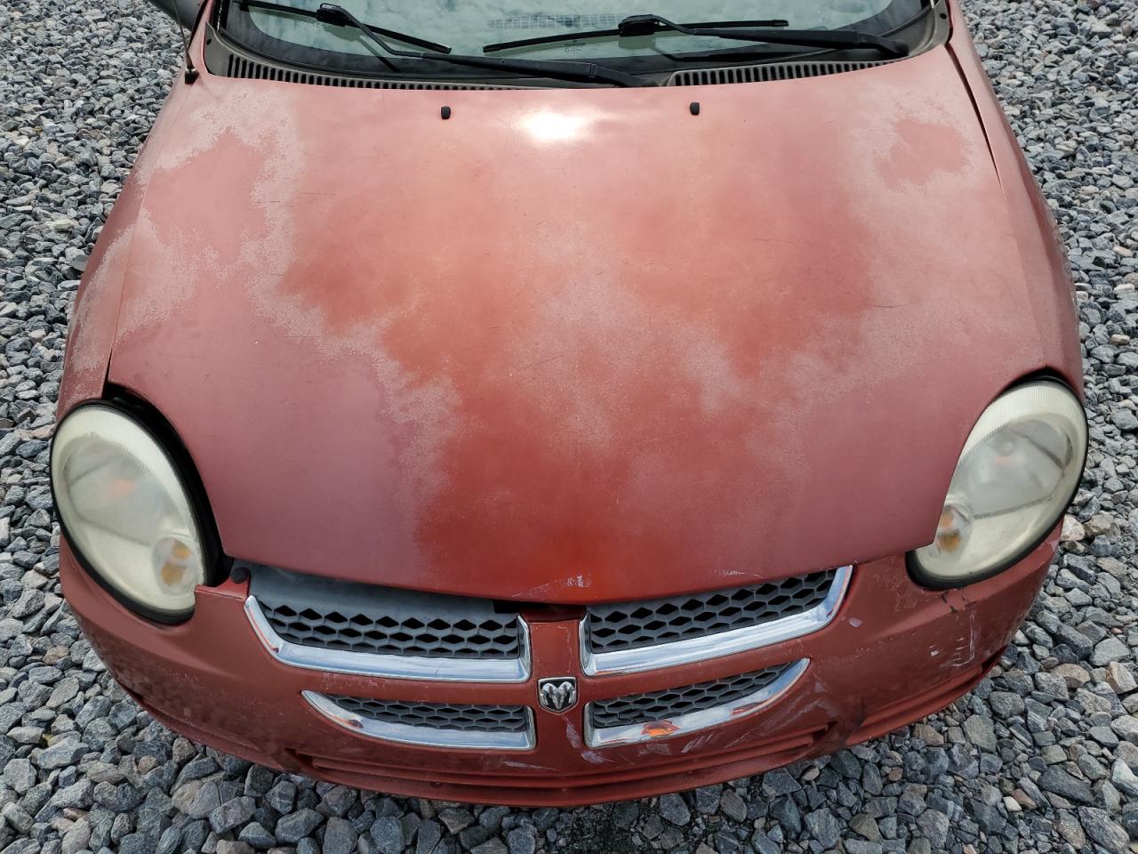 2005 Dodge Neon Sxt VIN: 1B3ES56C05D107713 Lot: 59568885