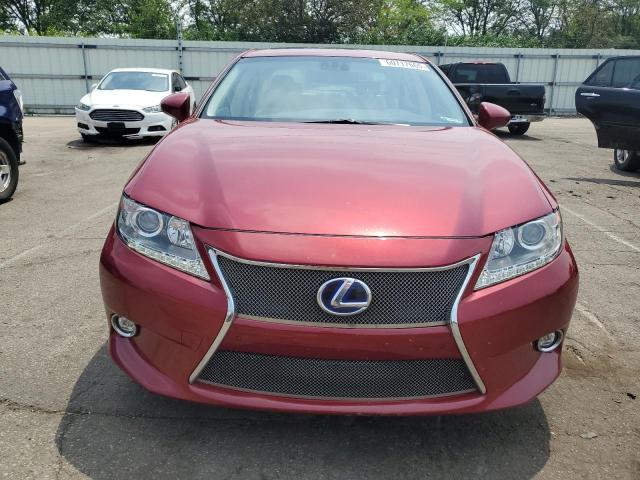 Sedans LEXUS ES300 2015 Czerwony