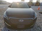 2015 Hyundai Sonata Sport for Sale in Taylor, TX - Front End