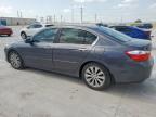 2013 Honda Accord Exl   for Sale in Haslet, TX - Hail